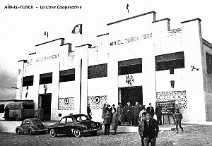 Ain-el-Turck - Cave cooperative